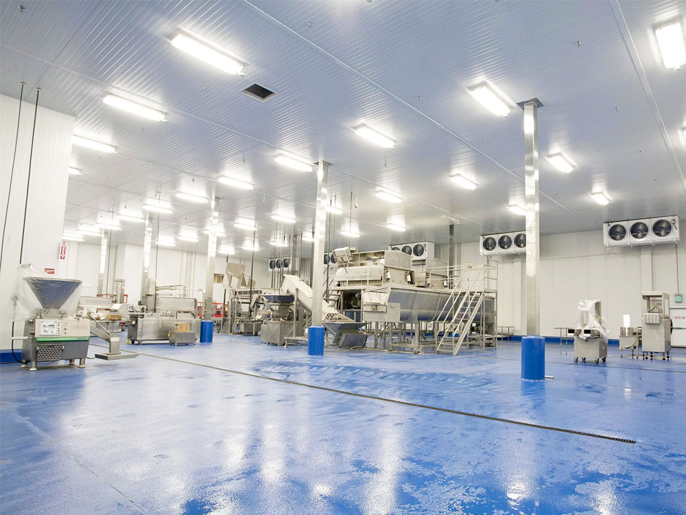 潔凈車(chē)間頂部照明：選對(duì)燈具，守護(hù)微塵禁區(qū)